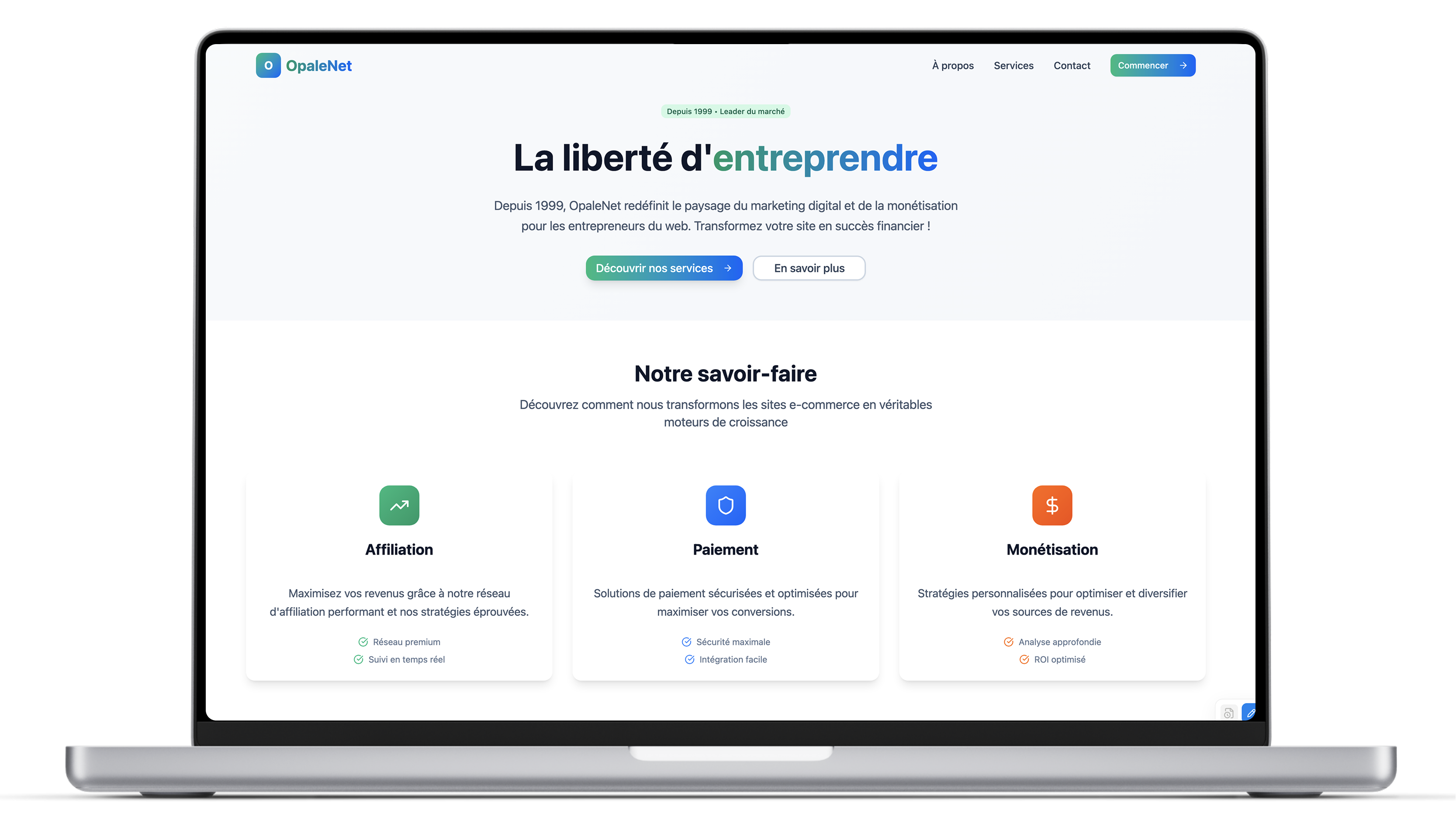 OpaleNet corporate website interface showcasing professional design and accessibility features